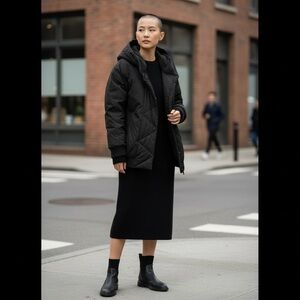 Aritzia Babaton Masey Parka